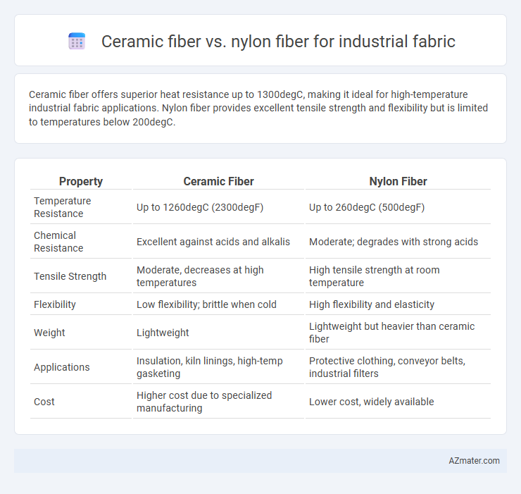 Ceramic fiber vs. nylon fiber for industrial fabric - What is The Difference?