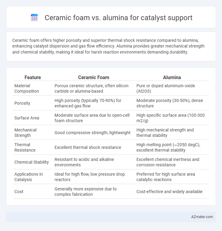 Ceramic foam vs. alumina for catalyst support - What is The Difference?