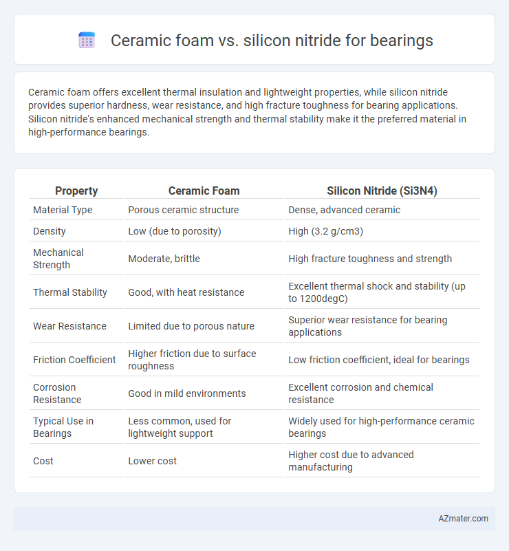 Ceramic foam vs. silicon nitride for bearings - What is The Difference?