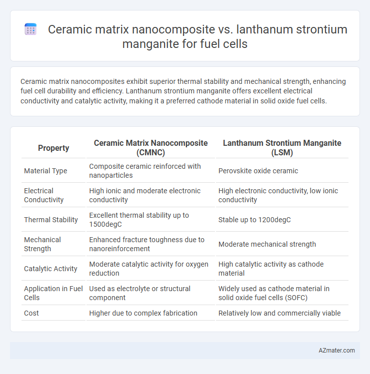 Ceramic matrix nanocomposite vs. lanthanum strontium manganite for fuel cells - What is The Difference?