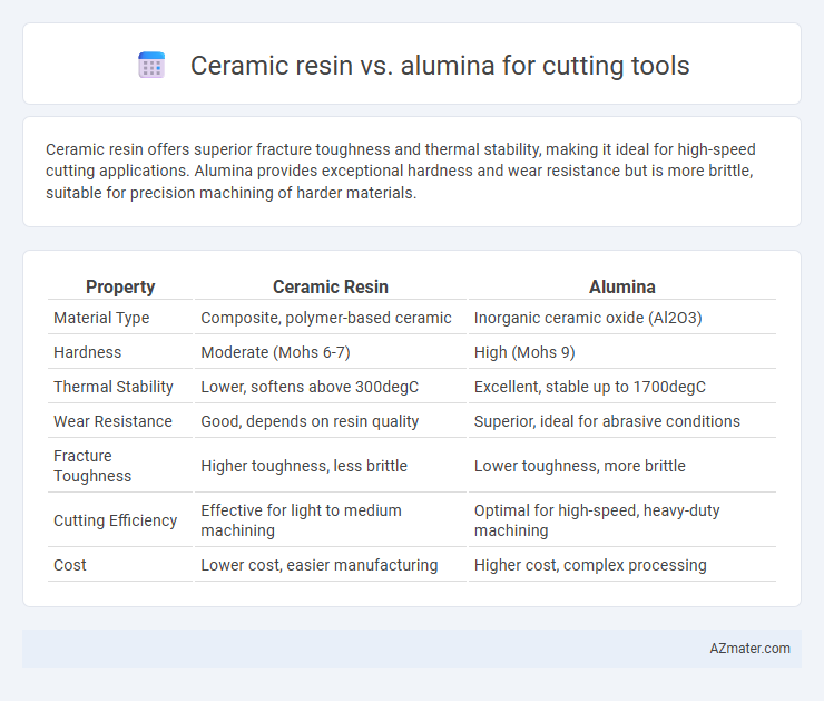 Ceramic resin vs. alumina for cutting tools - What is The Difference?