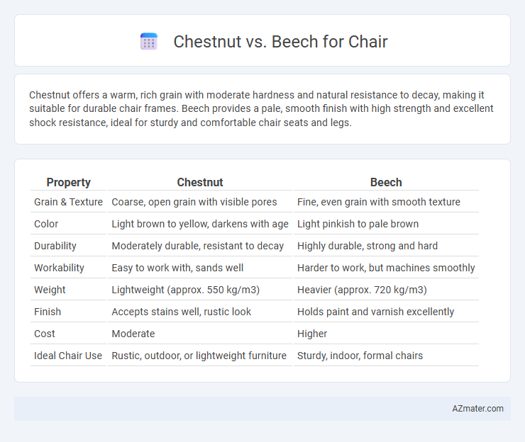 Chestnut vs. Beech for Chair - What is The Difference?