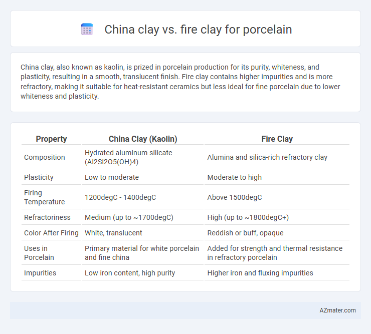 China clay vs. fire clay for porcelain - What is The Difference?