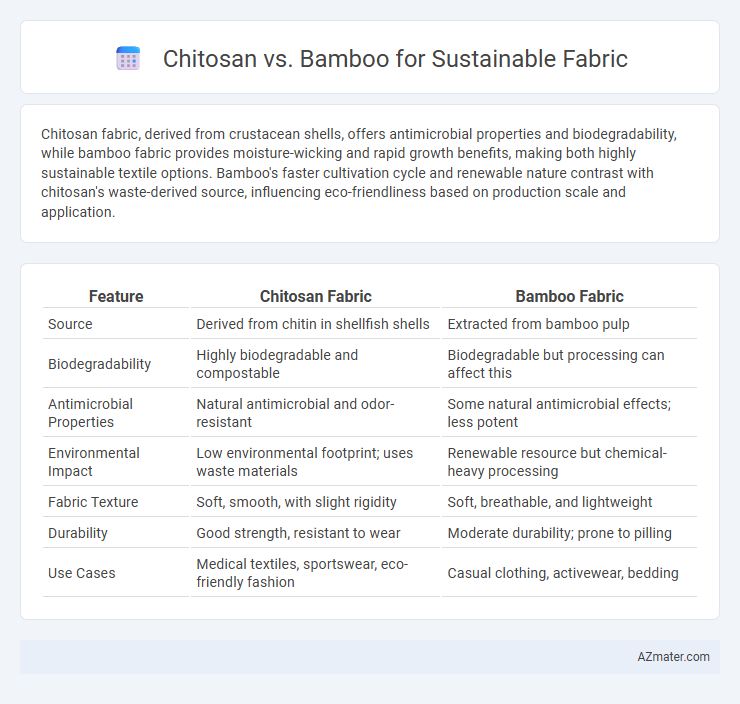 Chitosan vs. Bamboo for Sustainable Fabric - What is The Difference?