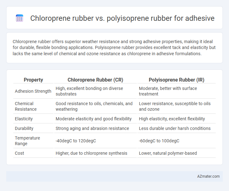 Chloroprene rubber vs. polyisoprene rubber for adhesive - What is The Difference?