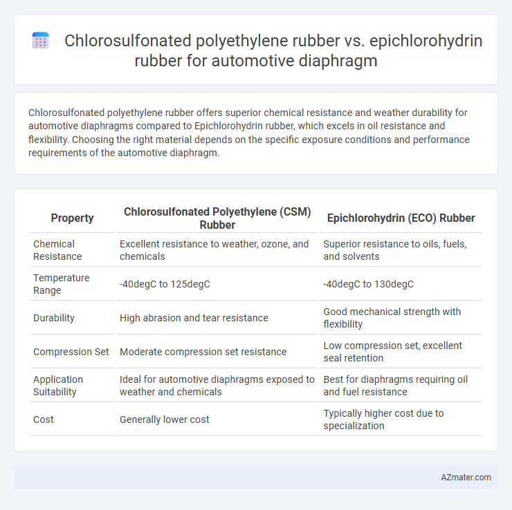 Chlorosulfonated polyethylene rubber vs. epichlorohydrin rubber for automotive diaphragm - What is The Difference?