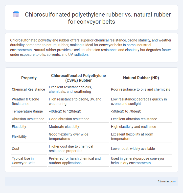 Chlorosulfonated polyethylene rubber vs. natural rubber for conveyor belts - What is The Difference?