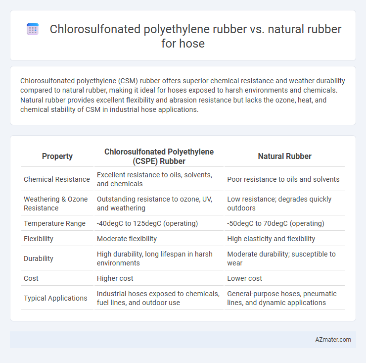 Chlorosulfonated polyethylene rubber vs. natural rubber for hose - What is The Difference?