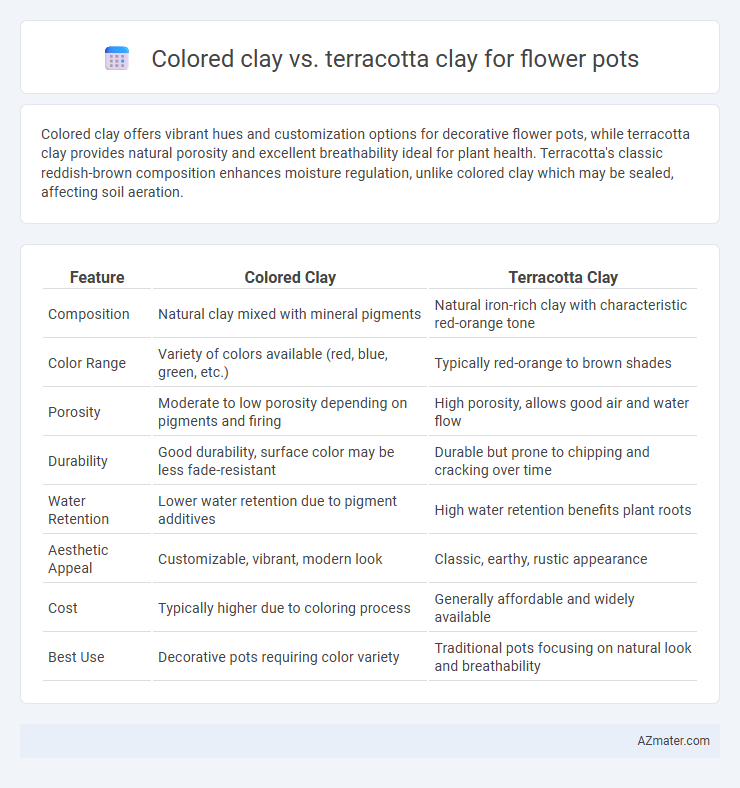 Colored clay vs. terracotta clay for flower pots - What is The Difference?