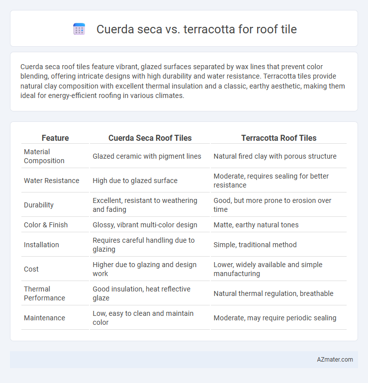 Cuerda seca vs. terracotta for roof tile - What is The Difference?