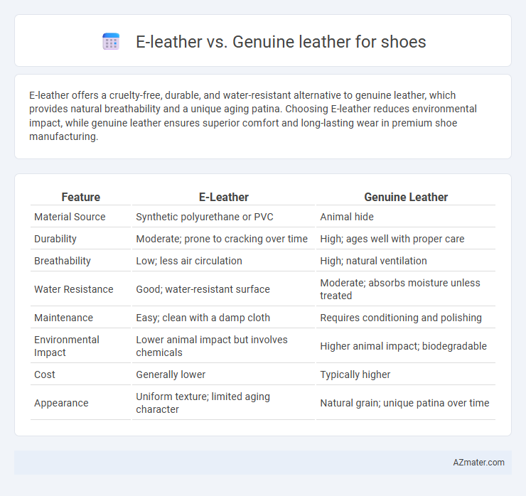 E-leather vs. Genuine leather for shoes - What is The Difference?