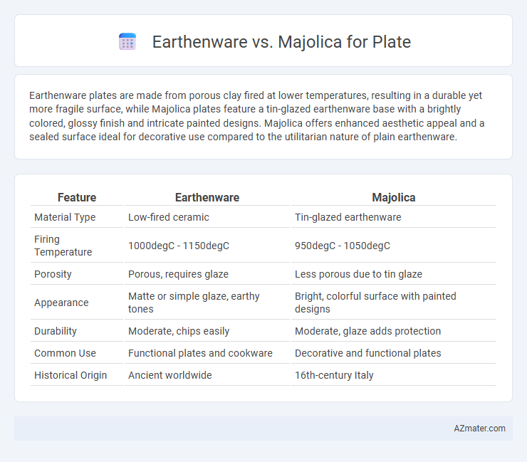 Earthenware vs. Majolica for Plate - What is The Difference?