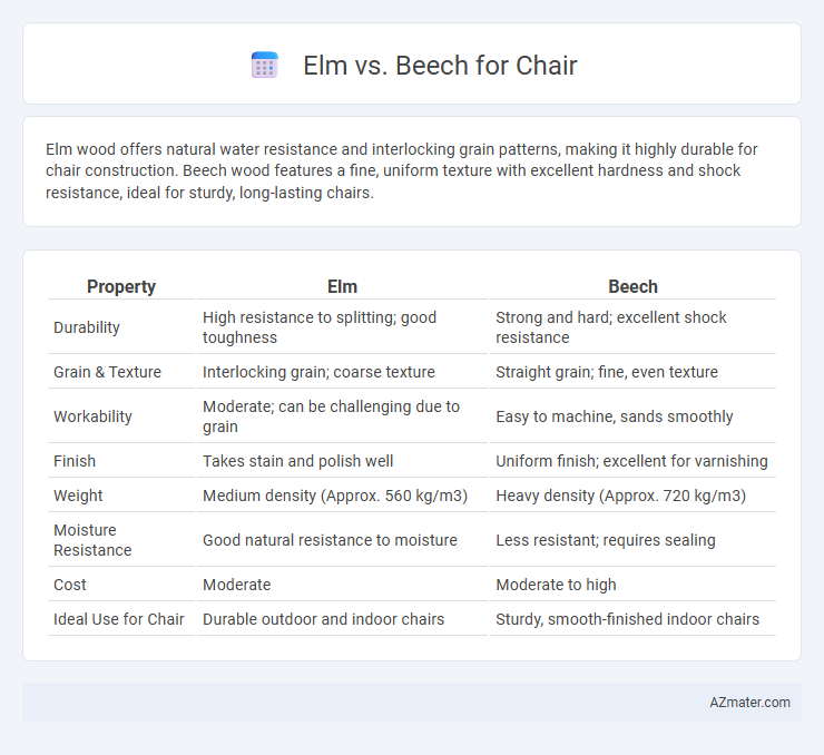 Elm vs. Beech for Chair - What is The Difference?