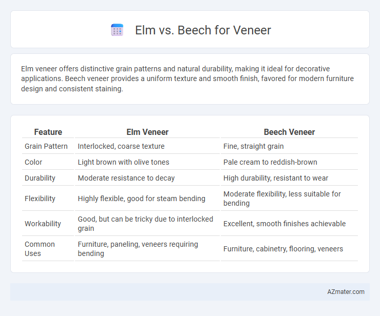 Elm vs. Beech for Veneer - What is The Difference?