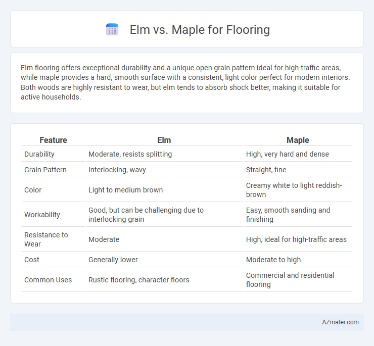 Elm vs. Maple for Flooring - What is The Difference?