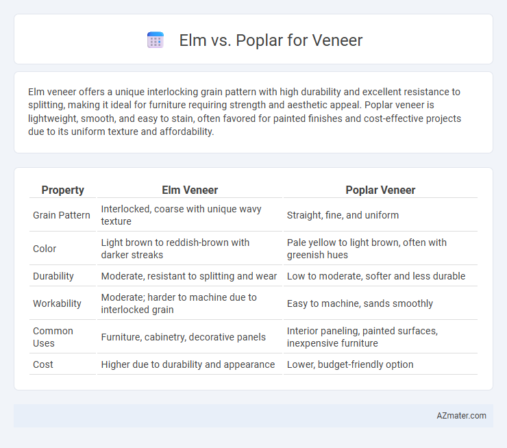 Elm vs. Poplar for Veneer - What is The Difference?