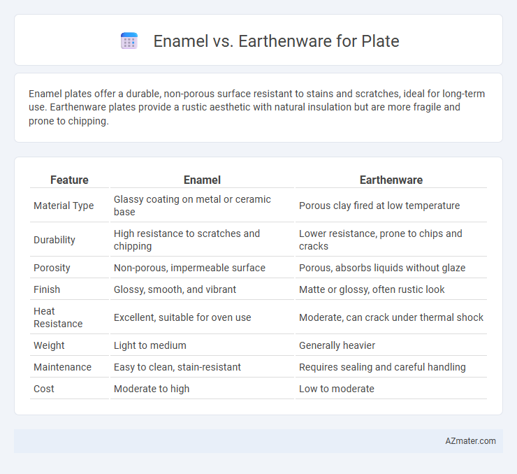 Enamel vs. Earthenware for Plate - What is The Difference?