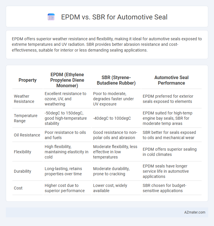 EPDM vs. SBR for Automotive Seal - What is The Difference?