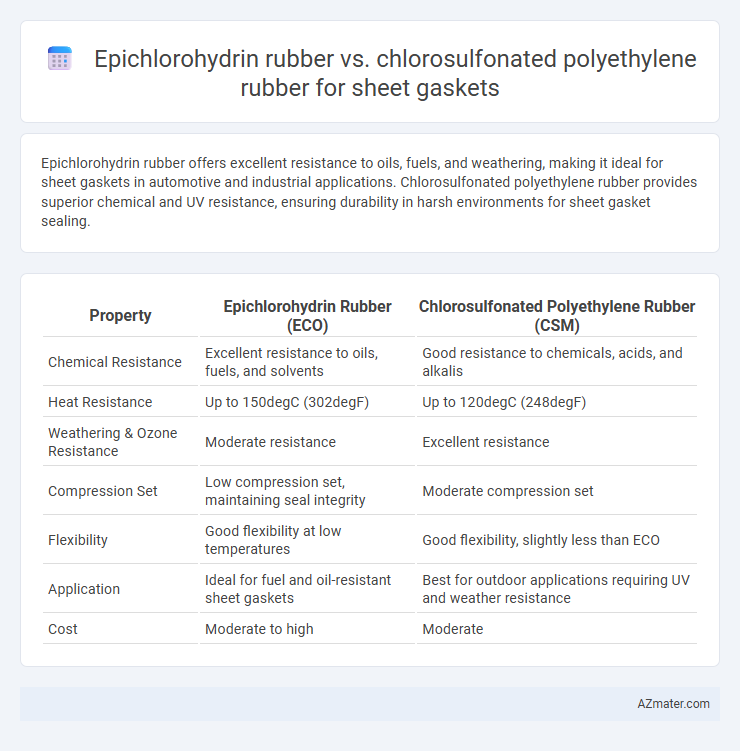 Epichlorohydrin rubber vs. chlorosulfonated polyethylene rubber for sheet gaskets - What is The Difference?