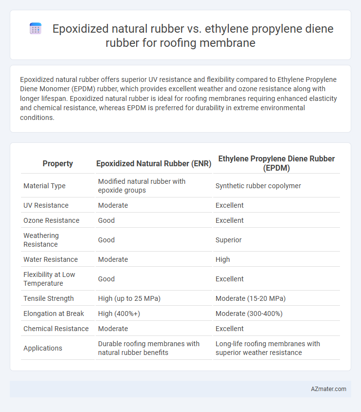 Epoxidized natural rubber vs. ethylene propylene diene rubber for roofing membrane - What is The Difference?