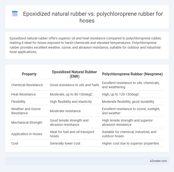 Epoxidized natural rubber vs. polychloroprene rubber for hoses - What is The Difference?