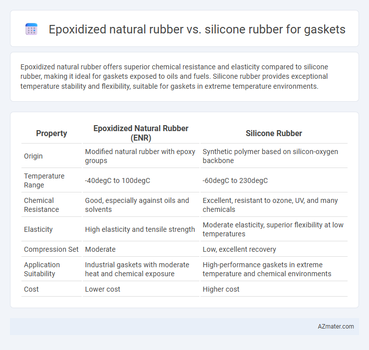 Epoxidized natural rubber vs. silicone rubber for gaskets - What is The Difference?
