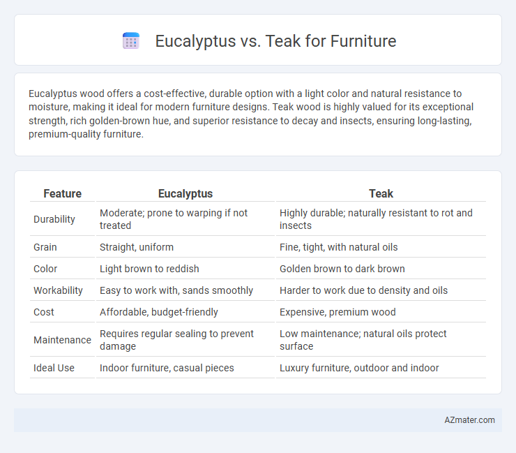 Eucalyptus vs. Teak for Furniture - What is The Difference?
