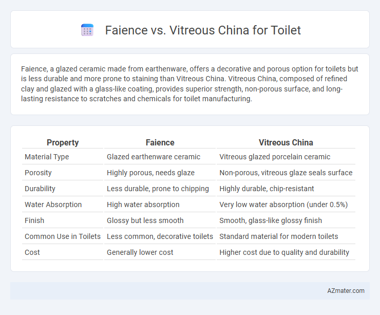 Faience vs. Vitreous China for Toilet - What is The Difference?