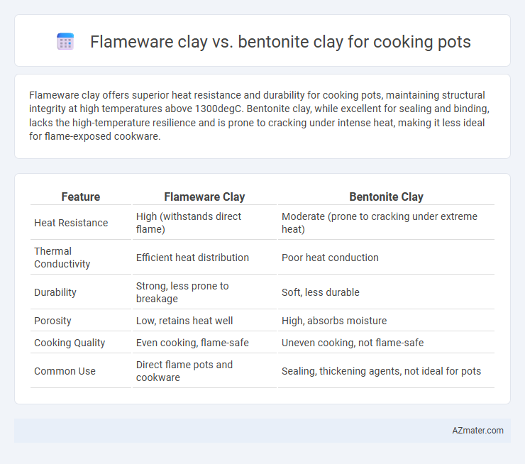 Flameware clay vs. bentonite clay for cooking pots - What is The Difference?