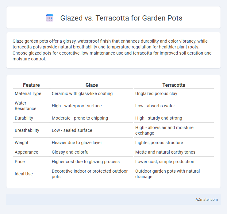 Glazed vs. Terracotta for Garden Pots - What is The Difference?