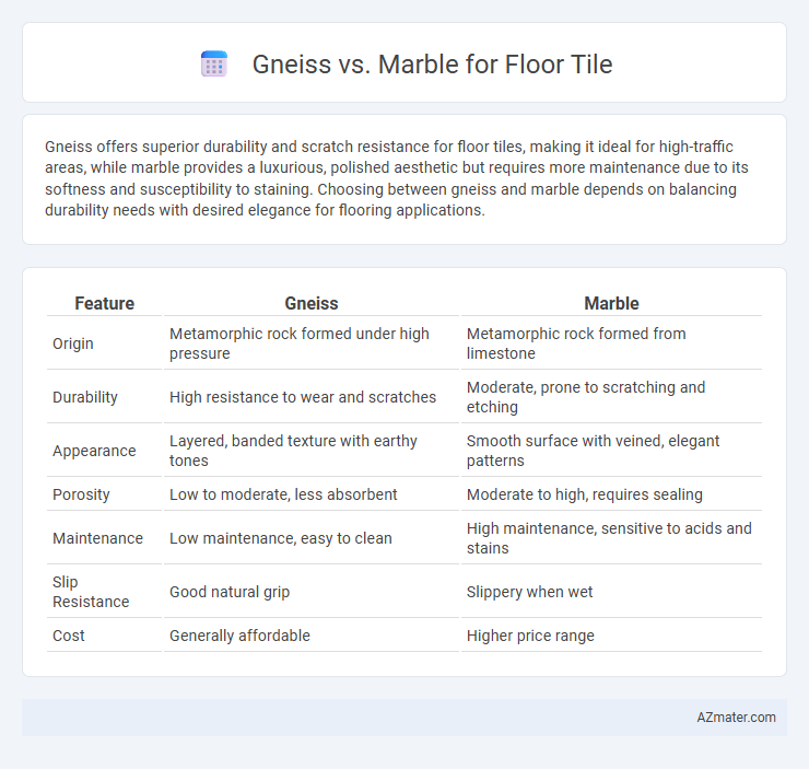 Gneiss vs. Marble for Floor Tile - What is The Difference?