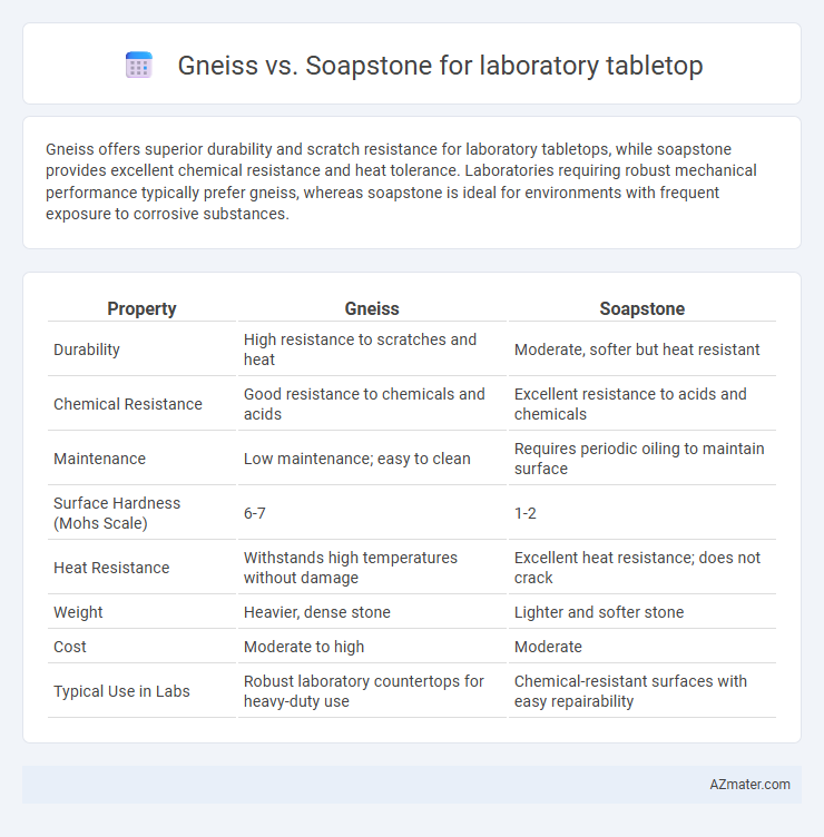 Gneiss vs. Soapstone for laboratory tabletop - What is The Difference?