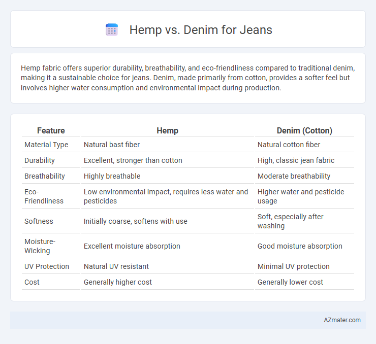 Hemp vs. Denim for Jeans - What is The Difference?