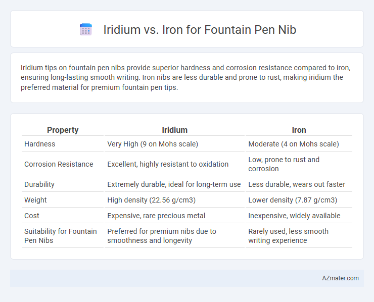 Iridium vs. Iron for Fountain Pen Nib - What is The Difference?
