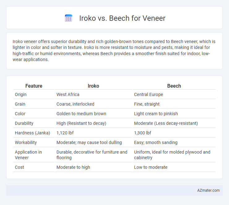 Iroko vs. Beech for Veneer - What is The Difference?