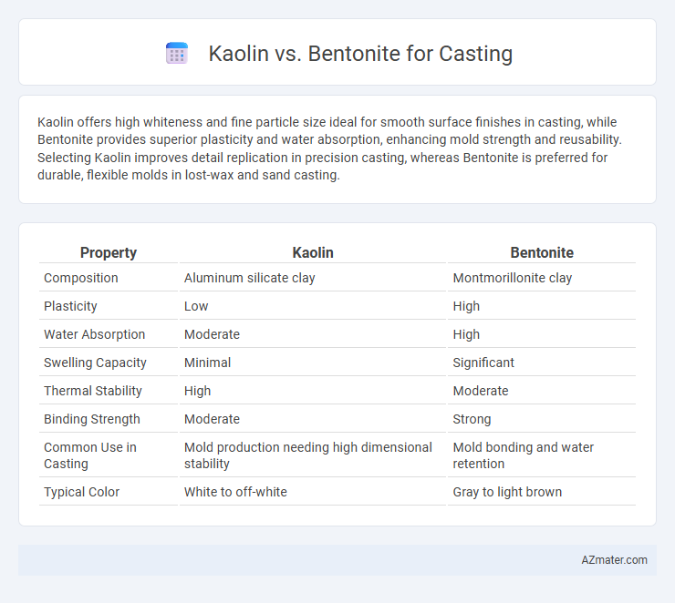Kaolin vs. Bentonite for Casting - What is The Difference?