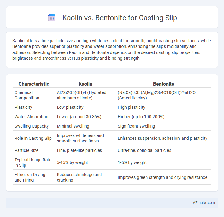 Kaolin vs. Bentonite for Casting Slip - What is The Difference?