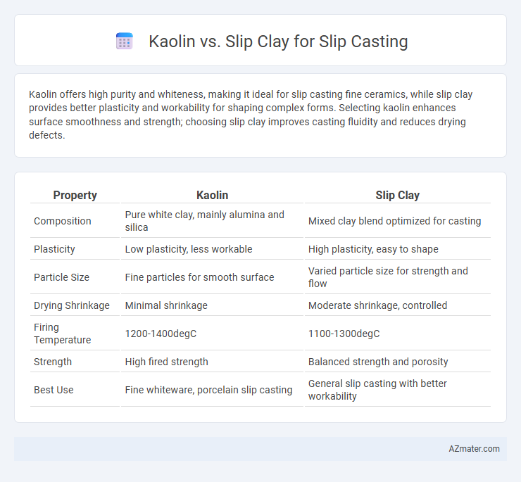 Kaolin vs. Slip Clay for Slip Casting - What is The Difference?