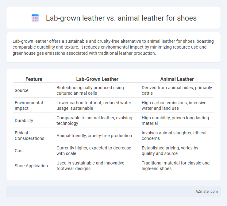 Lab-grown leather vs. animal leather for shoes - What is The Difference?