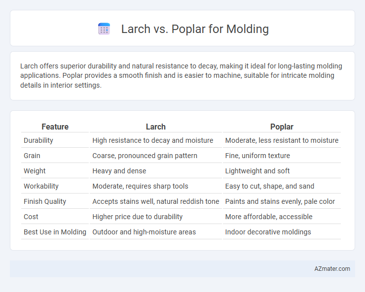 Larch vs. Poplar for Molding - What is The Difference?