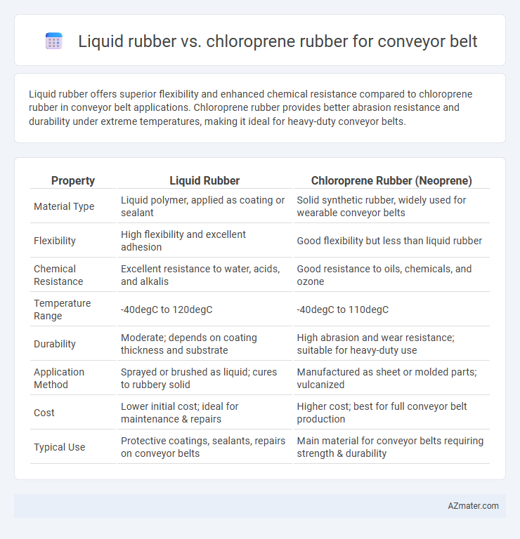 Liquid rubber vs. chloroprene rubber for conveyor belt - What is The Difference?