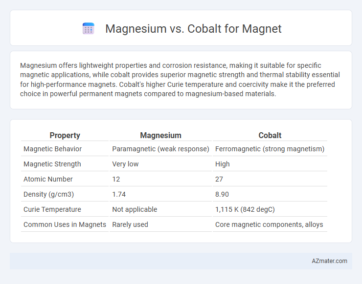 Magnesium vs. Cobalt for Magnet - What is The Difference?
