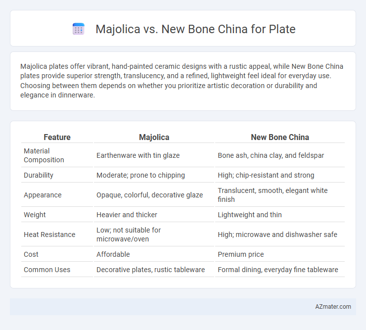 Majolica vs. New Bone China for Plate - What is The Difference?