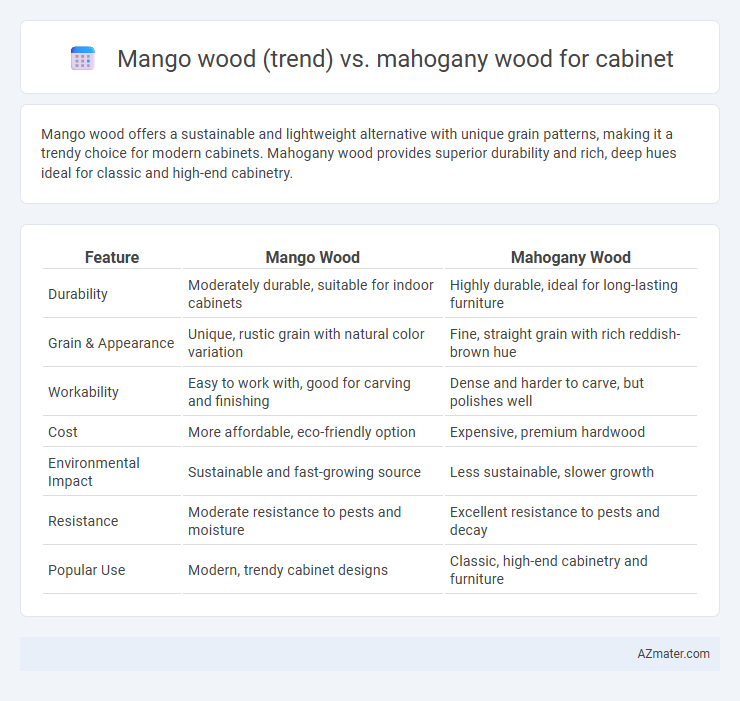 Mango wood (trend) vs. mahogany wood for cabinet - What is The Difference?