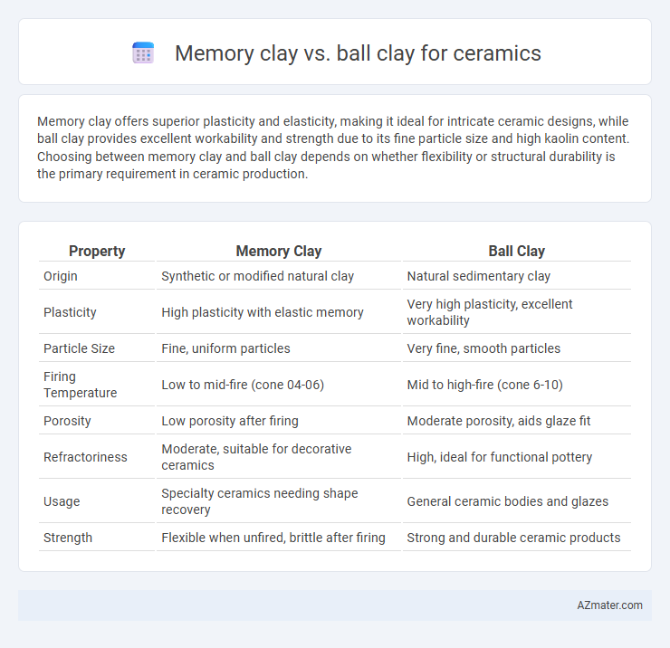 Memory clay vs. ball clay for ceramics - What is The Difference?