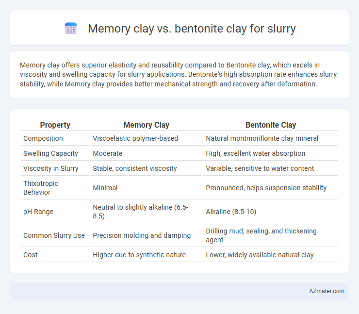 Memory clay vs. bentonite clay for slurry - What is The Difference?