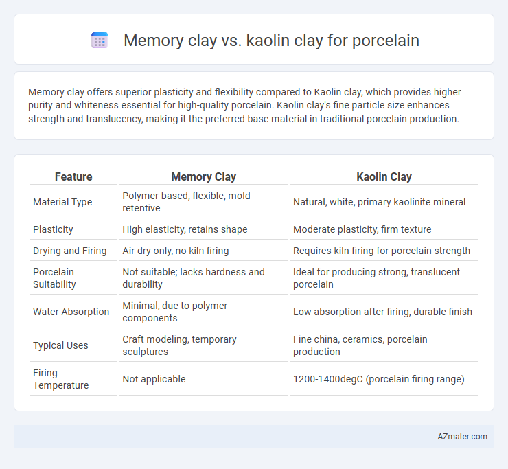 Memory clay vs. kaolin clay for porcelain - What is The Difference?