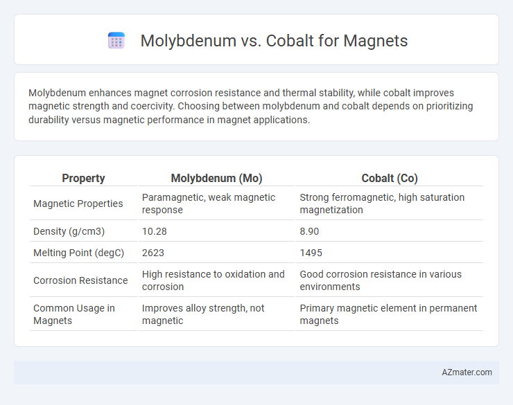 Molybdenum vs. Cobalt for Magnets - What is The Difference?