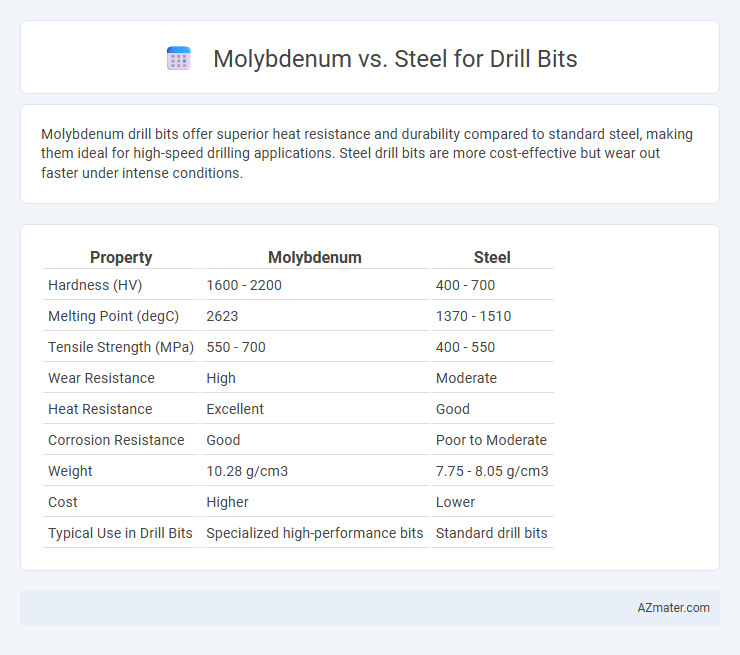 Molybdenum vs. Steel for Drill Bits - What is The Difference?