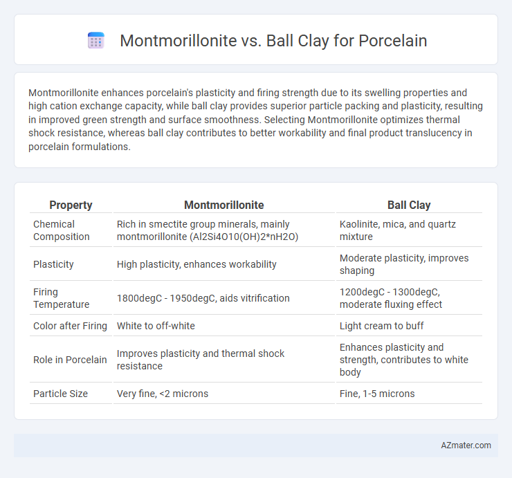 Montmorillonite vs. Ball Clay for Porcelain - What is The Difference?